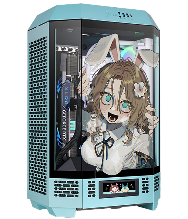 The Bunny Byte case