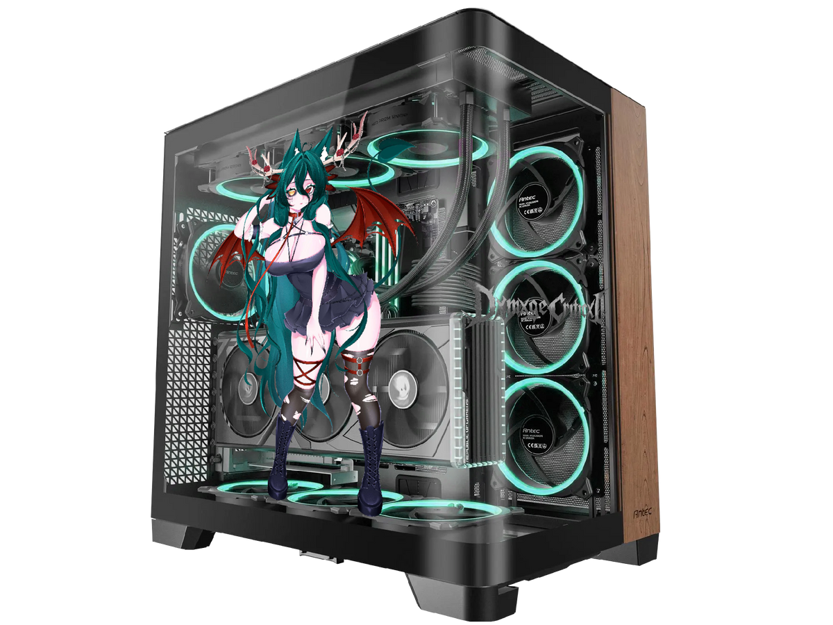 The Echoing Void Case