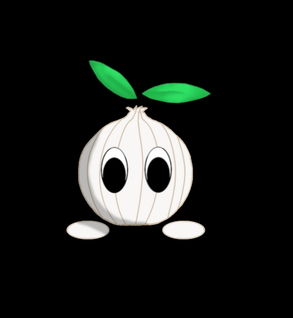 Onion Garden Computers